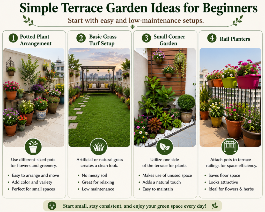 Simple Terrace Garden Ideas for Beginners
