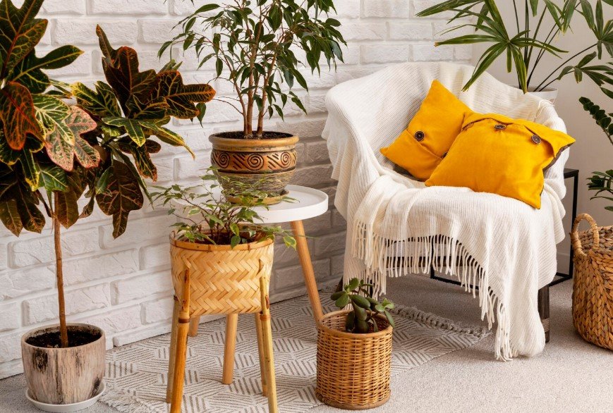 Introduction to Personal Home Decor